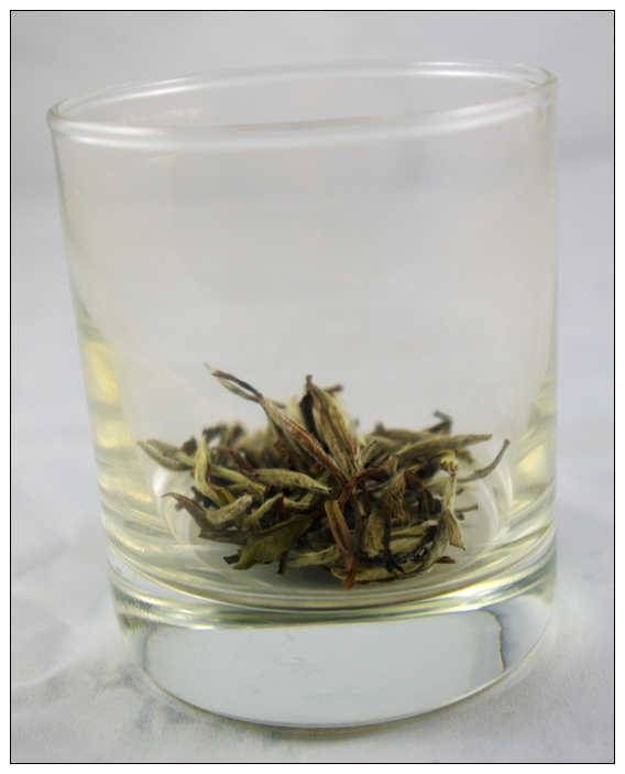 100g, bai mu dan, Organic Chinese white tea, Pai Mu Tan